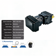 Black Momentary DPDT