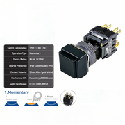 Black Momentary TPDT