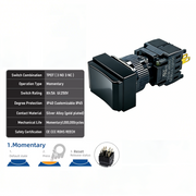 Black Momentary TPDT