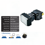 White Momentary DPDT