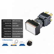 White Momentary DPDT