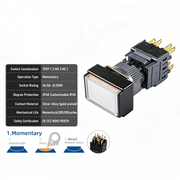 White Momentary TPDT