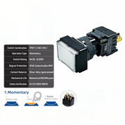 White Momentary TPDT