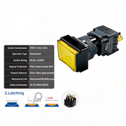 Yellow Maintained TPDT