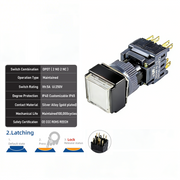 White Maintained DPDT