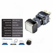 White Momentary TPDT