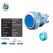 Blue DPDT Maintained