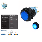 Blue DPDT Maintained