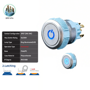 Blue DPDT Maintained