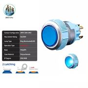 Blue DPDT Maintained