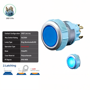 Blue SPDT Maintained