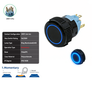 Blue SPDT Maintained