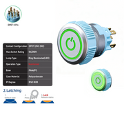 Green DPDT Maintained