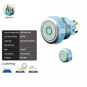 Green DPDT Maintained