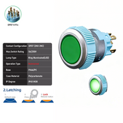 Green DPDT Maintained