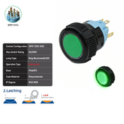 Green DPDT Maintained