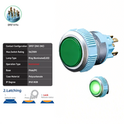 Green DPDT Maintained