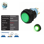 Green DPDT Momentary