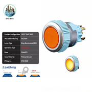 Orange DPDT Maintained