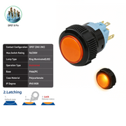 Orange DPDT Maintained