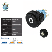 White DPDT Maintained