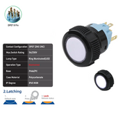 White DPDT Maintained