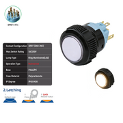 White DPDT Maintained