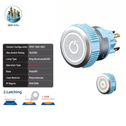 White DPDT Maintained