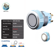 White DPDT Maintained