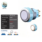 White DPDT Maintained