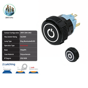 White DPDT Maintained