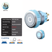 White DPDT Maintained