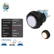 White DPDT Momentary