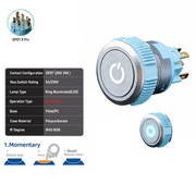 White DPDT Momentary