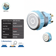 White DPDT Momentary