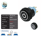 White DPDT Momentary