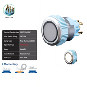 White DPDT Momentary