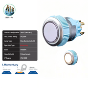 White DPDT Momentary