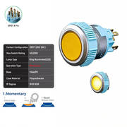 Yellow DPDT Momentary