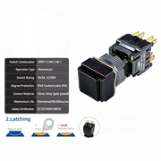 Black Maintained DPDT