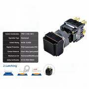 Black Maintained TPDT