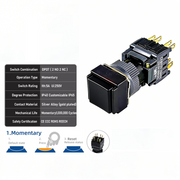 Black Momentary DPDT