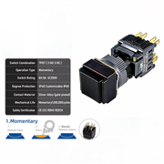 Black Momentary TPDT