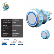 Blue DPDT Maintained