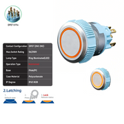 Orange DPDT Maintained