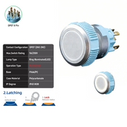 White DPDT Maintained