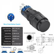 Black DPDT Momentary