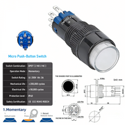 White DPDT Momentary