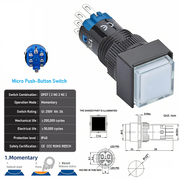 White DPDT Momentary