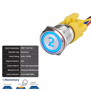 Blue SPDT Momentary Number 2